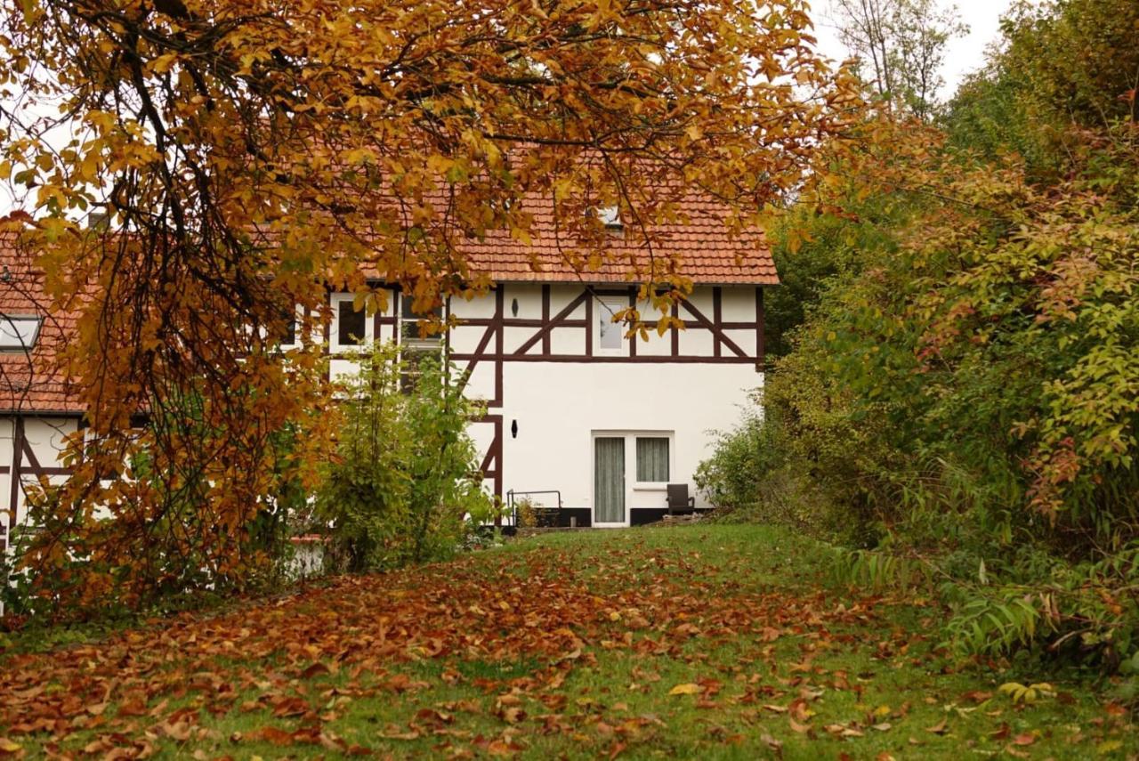 Haus An Der Werbe Διαμέρισμα Waldeck  Εξωτερικό φωτογραφία