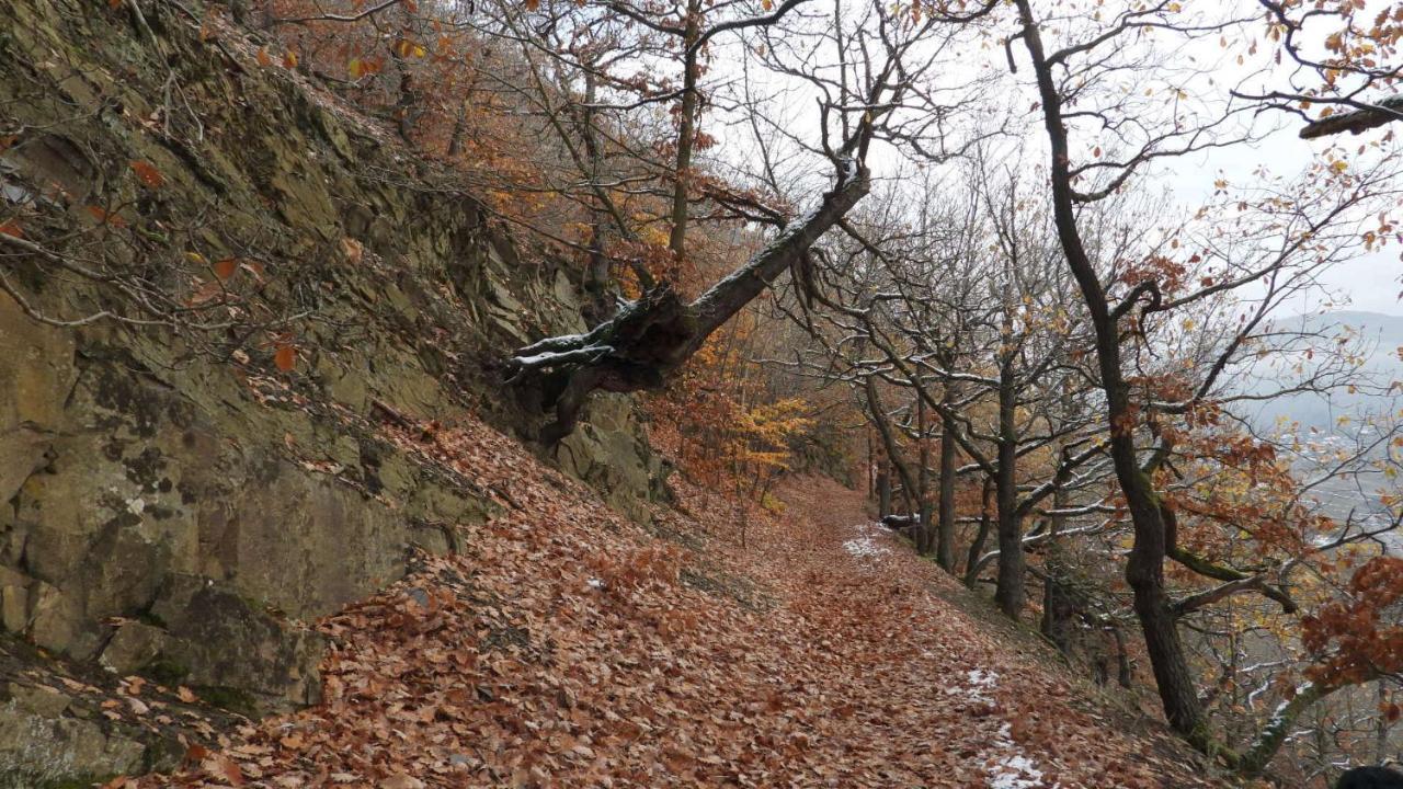Haus An Der Werbe Διαμέρισμα Waldeck  Εξωτερικό φωτογραφία