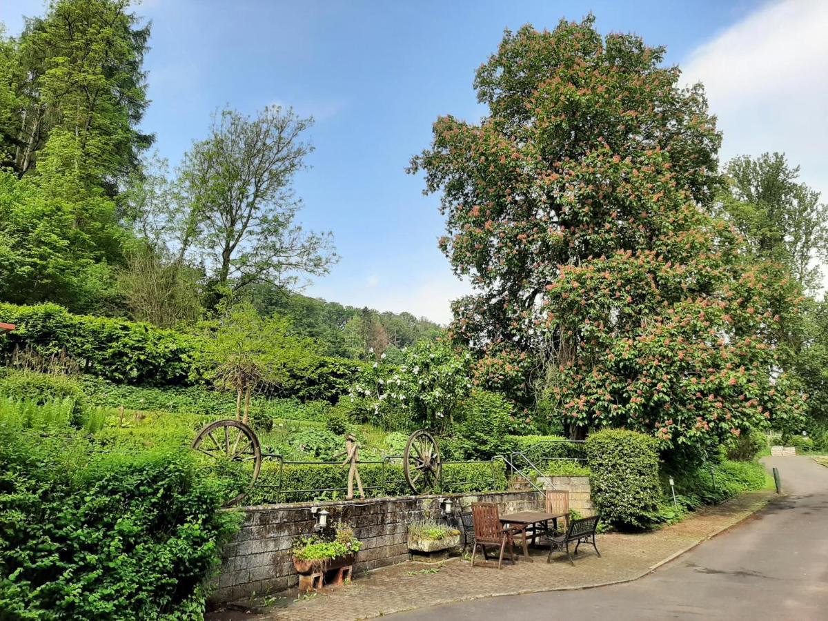 Haus An Der Werbe Διαμέρισμα Waldeck  Εξωτερικό φωτογραφία